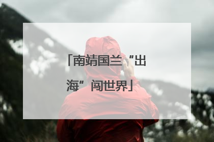 南靖国兰“出海”闯世界