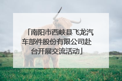南阳市西峡县飞龙汽车部件股份有限公司赴台开展交流活动