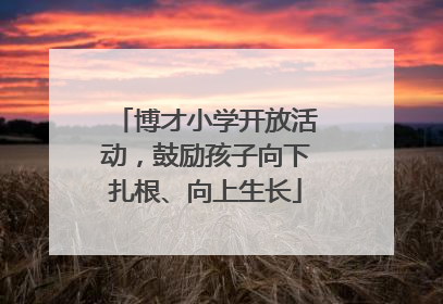 博才小学开放活动，鼓励孩子向下扎根、向上生长