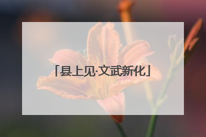 县上见·文武新化
