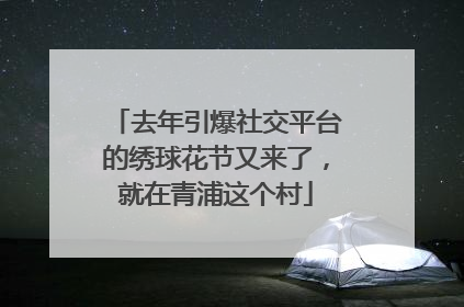 去年引爆社交平台的绣球花节又来了，就在青浦这个村