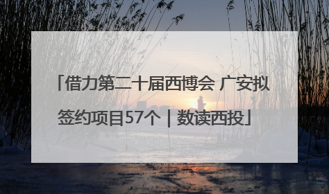 借力第二十届西博会 广安拟签约项目57个｜数读西投