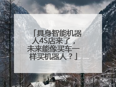 具身智能机器人4S店来了，未来能像买车一样买机器人？