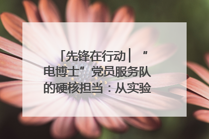 先锋在行动 ▏“电博士”党员服务队的硬核担当：从实验室到抗洪一线