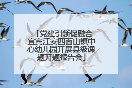 党建引领促融合 宜宾江安四面山镇中心幼儿园开展县级课题开题报告会