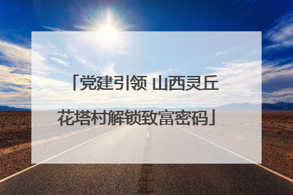 党建引领 山西灵丘花塔村解锁致富密码