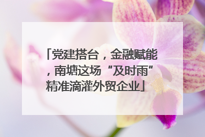 党建搭台，金融赋能，南塘这场“及时雨”精准滴灌外贸企业
