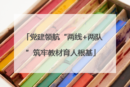 党建领航“两线+两队”筑牢教材育人根基