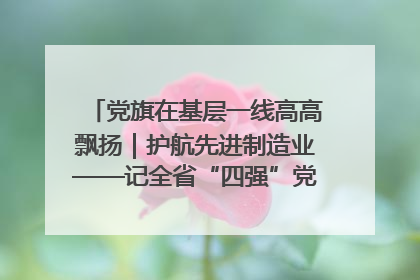 党旗在基层一线高高飘扬｜护航先进制造业——记全省“四强”党支部、省工业和信息化厅装备工业处党支部