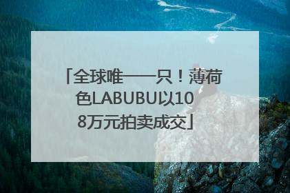 全球唯一一只！薄荷色LABUBU以108万元拍卖成交