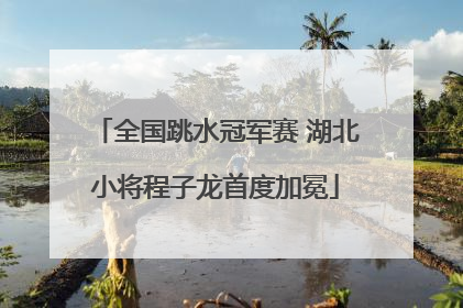 全国跳水冠军赛 湖北小将程子龙首度加冕