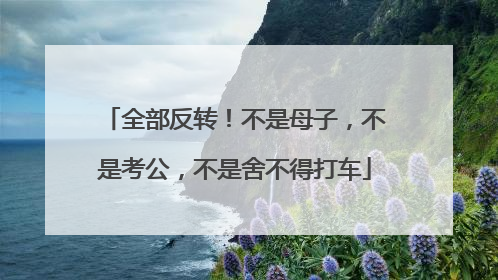全部反转！不是母子，不是考公，不是舍不得打车