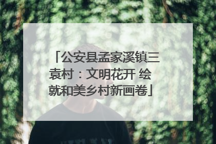公安县孟家溪镇三袁村：文明花开 绘就和美乡村新画卷