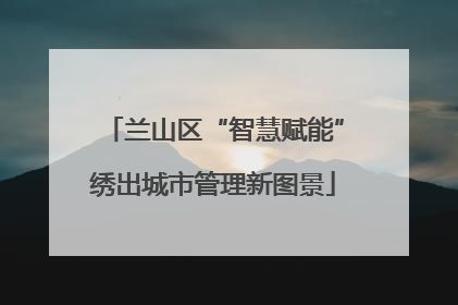 兰山区“智慧赋能”绣出城市管理新图景
