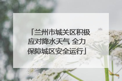 兰州市城关区积极应对降水天气 全力保障城区安全运行
