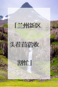兰州新区头茬苜蓿收割忙