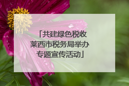 共建绿色税收 莱西市税务局举办专题宣传活动