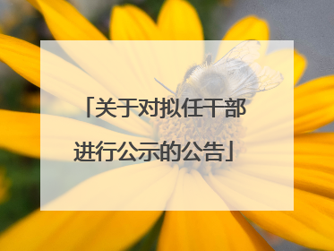 关于对拟任干部进行公示的公告