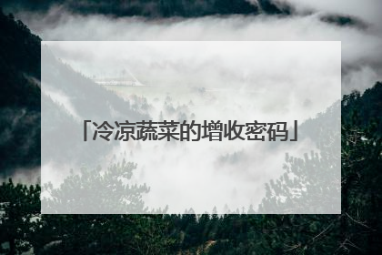 冷凉蔬菜的增收密码