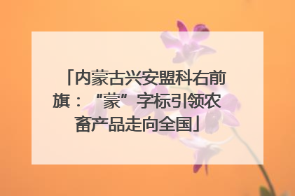 内蒙古兴安盟科右前旗：“蒙”字标引领农畜产品走向全国