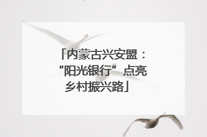 内蒙古兴安盟：“阳光银行”点亮乡村振兴路