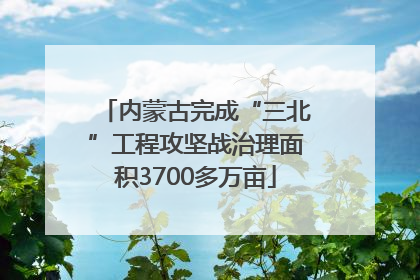 内蒙古完成“三北”工程攻坚战治理面积3700多万亩