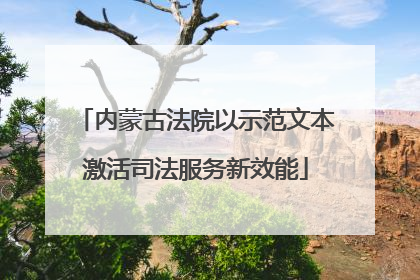 内蒙古法院以示范文本激活司法服务新效能
