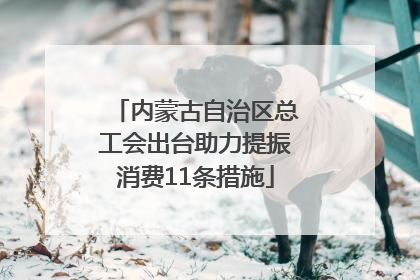 内蒙古自治区总工会出台助力提振消费11条措施