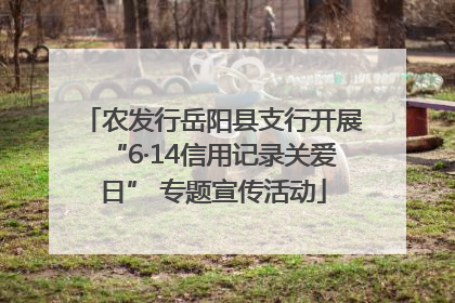 农发行岳阳县支行开展“6·14信用记录关爱日” 专题宣传活动
