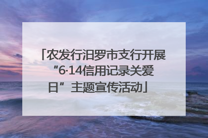 农发行汨罗市支行开展“6·14信用记录关爱日”主题宣传活动