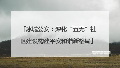 冰城公安：深化“五无”社区建设构建平安和谐新格局