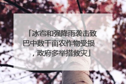 冰雹和强降雨袭击致巴中数千亩农作物受损，政府多举措救灾