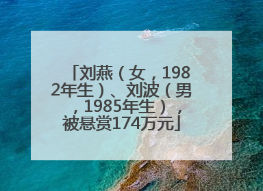 刘燕（女，1982年生）、刘波（男，1985年生），被悬赏174万元