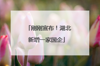 刚刚宣布！湖北新增一家国企