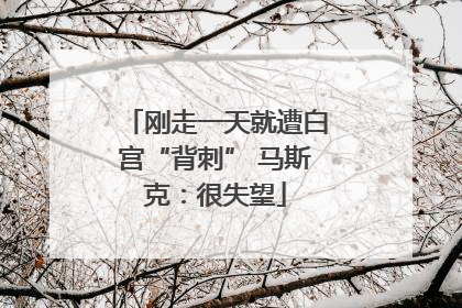 刚走一天就遭白宫“背刺” 马斯克：很失望