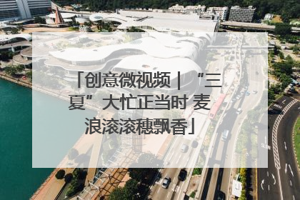 创意微视频｜“三夏”大忙正当时 麦浪滚滚穗飘香