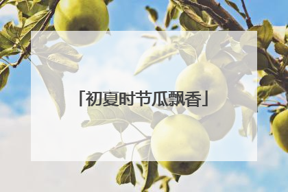 初夏时节瓜飘香