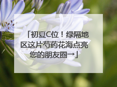 初夏C位！绿隔地区这片芍药花海点亮您的朋友圈→