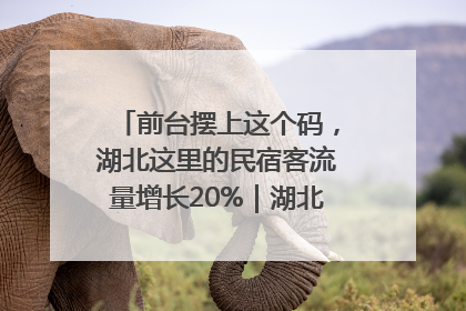 前台摆上这个码，湖北这里的民宿客流量增长20%｜湖北市场监管所的故事