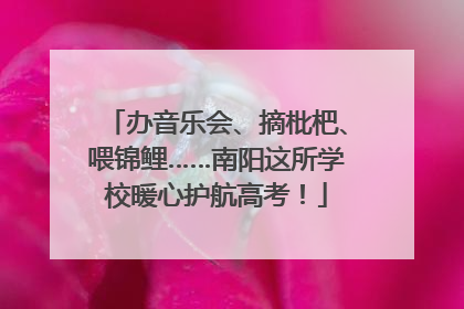 办音乐会、摘枇杷、喂锦鲤……南阳这所学校暖心护航高考！
