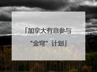 加拿大有意参与“金穹”计划