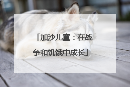 加沙儿童：在战争和饥饿中成长