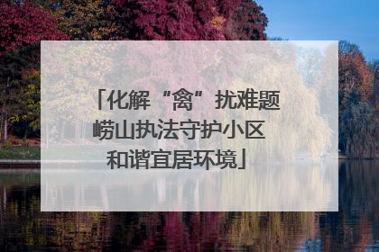 化解“禽”扰难题 崂山执法守护小区和谐宜居环境