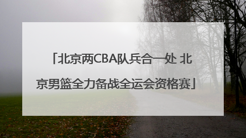 北京两CBA队兵合一处 北京男篮全力备战全运会资格赛
