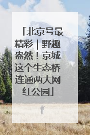 北京号最精彩｜野趣盎然！京城这个生态桥连通两大网红公园