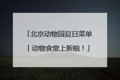 北京动物园夏日菜单丨动物食堂上新啦！