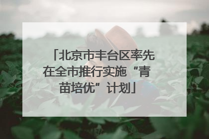 北京市丰台区率先在全市推行实施“青苗培优”计划