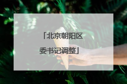 北京朝阳区委书记调整
