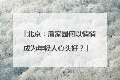 北京：潘家园何以悄悄成为年轻人心头好？