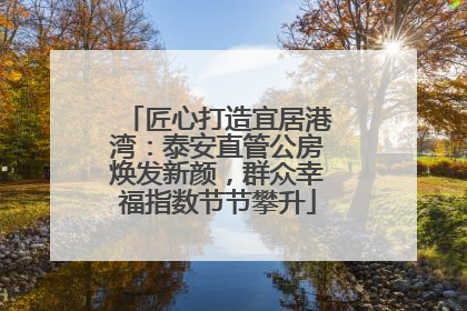 匠心打造宜居港湾：泰安直管公房焕发新颜，群众幸福指数节节攀升